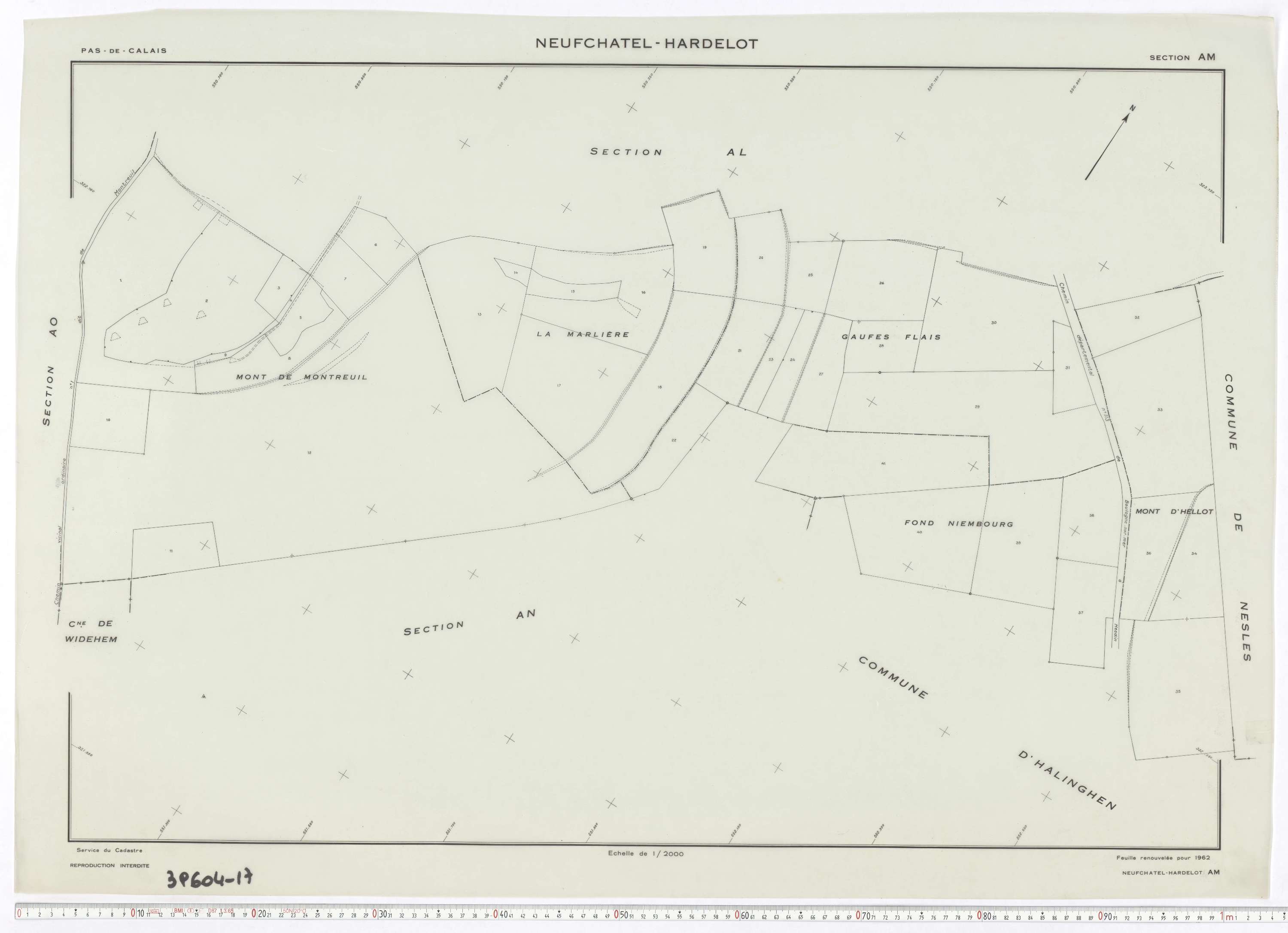 Neufchâtel-Hardelot - Section AM.