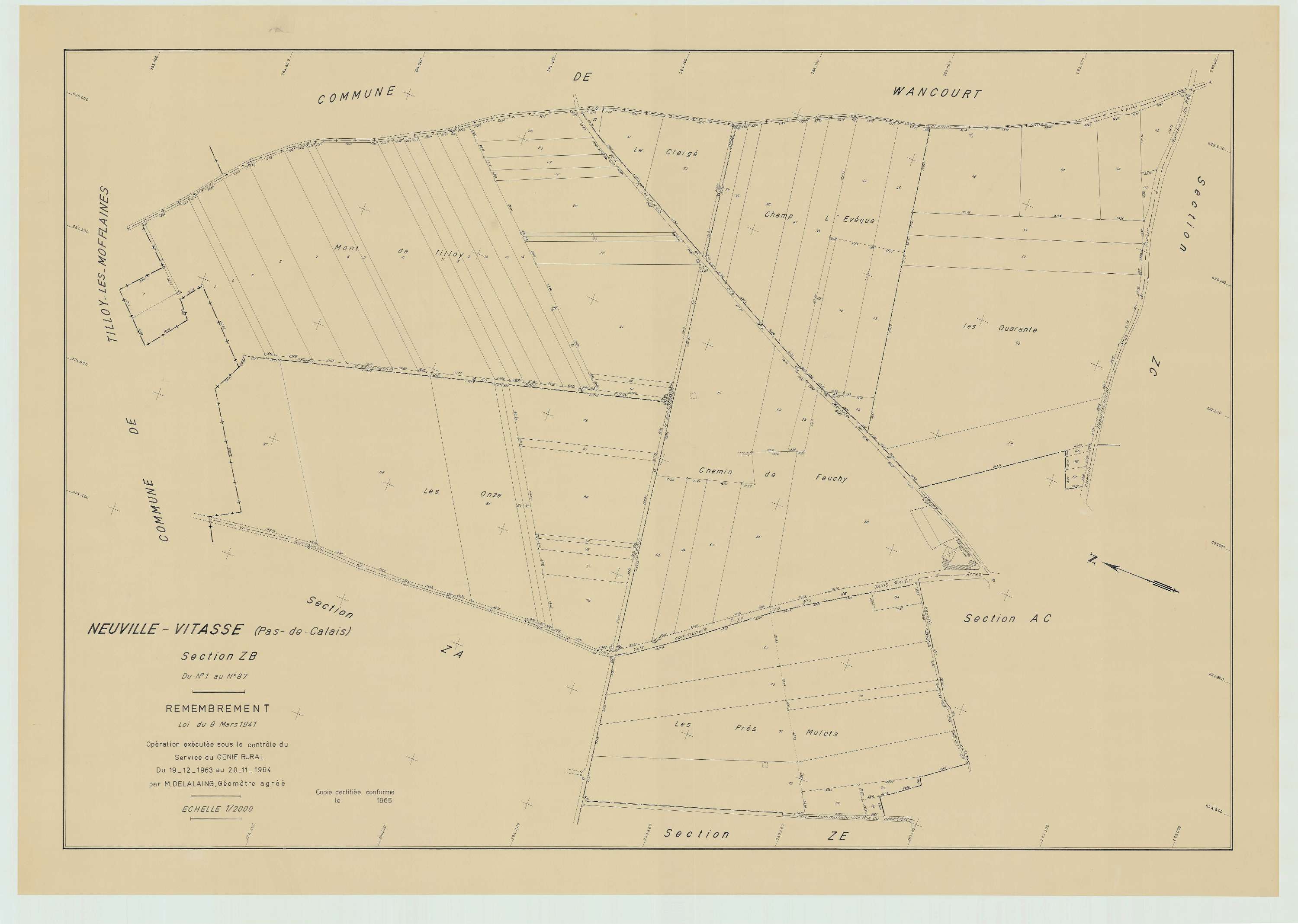 Neuville-Vitasse - Plan de remembrement : section ZB.
