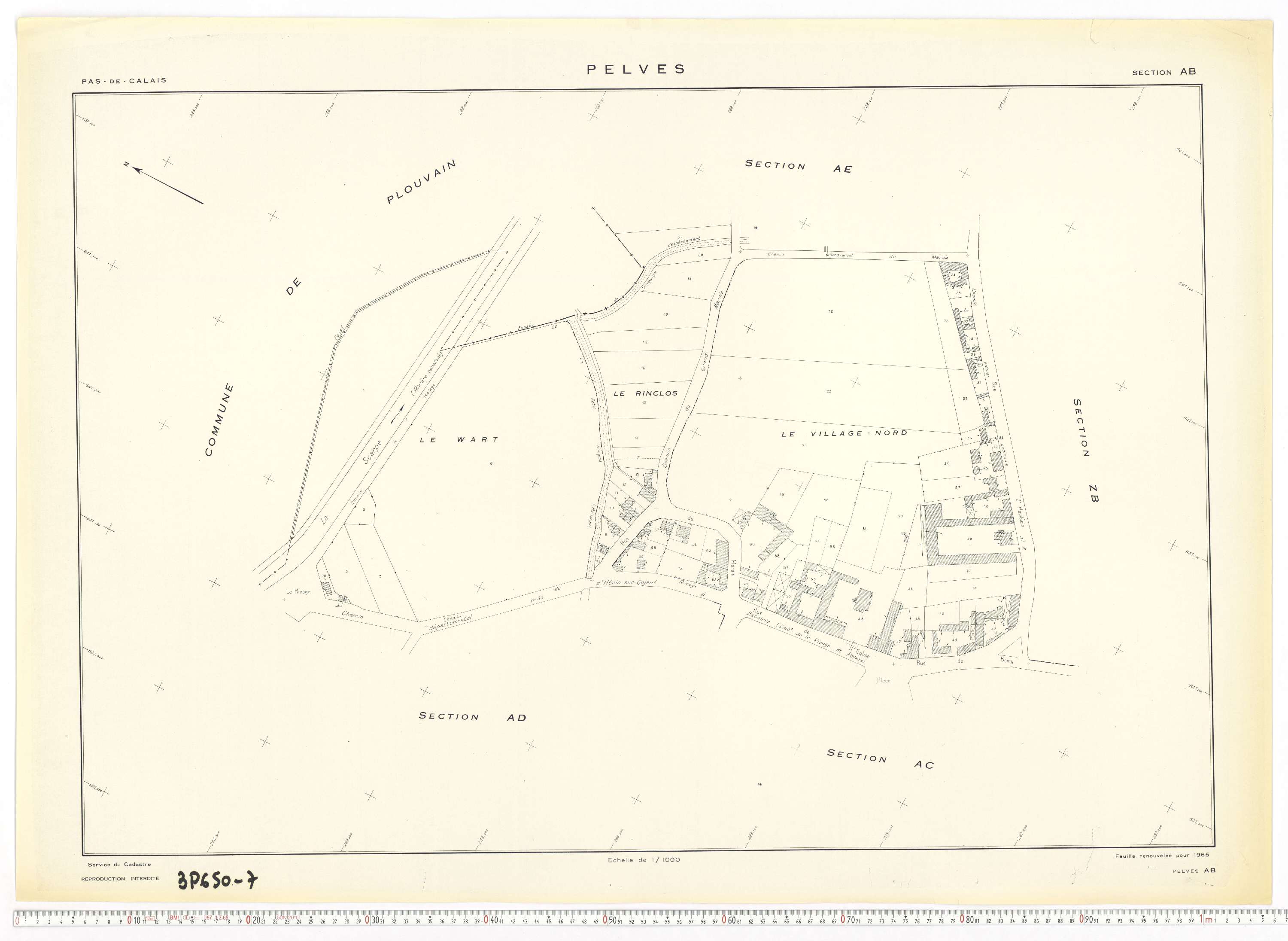 Pelves - Section AB.
