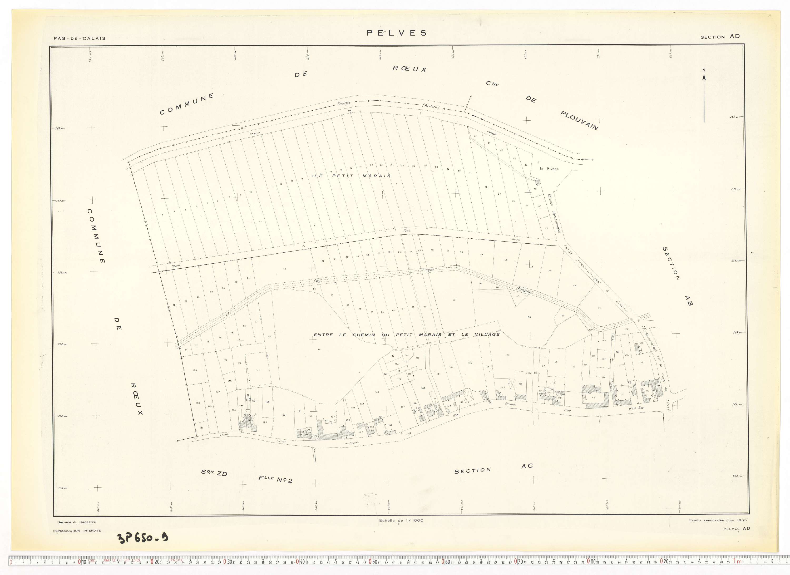 Pelves - Section AD.