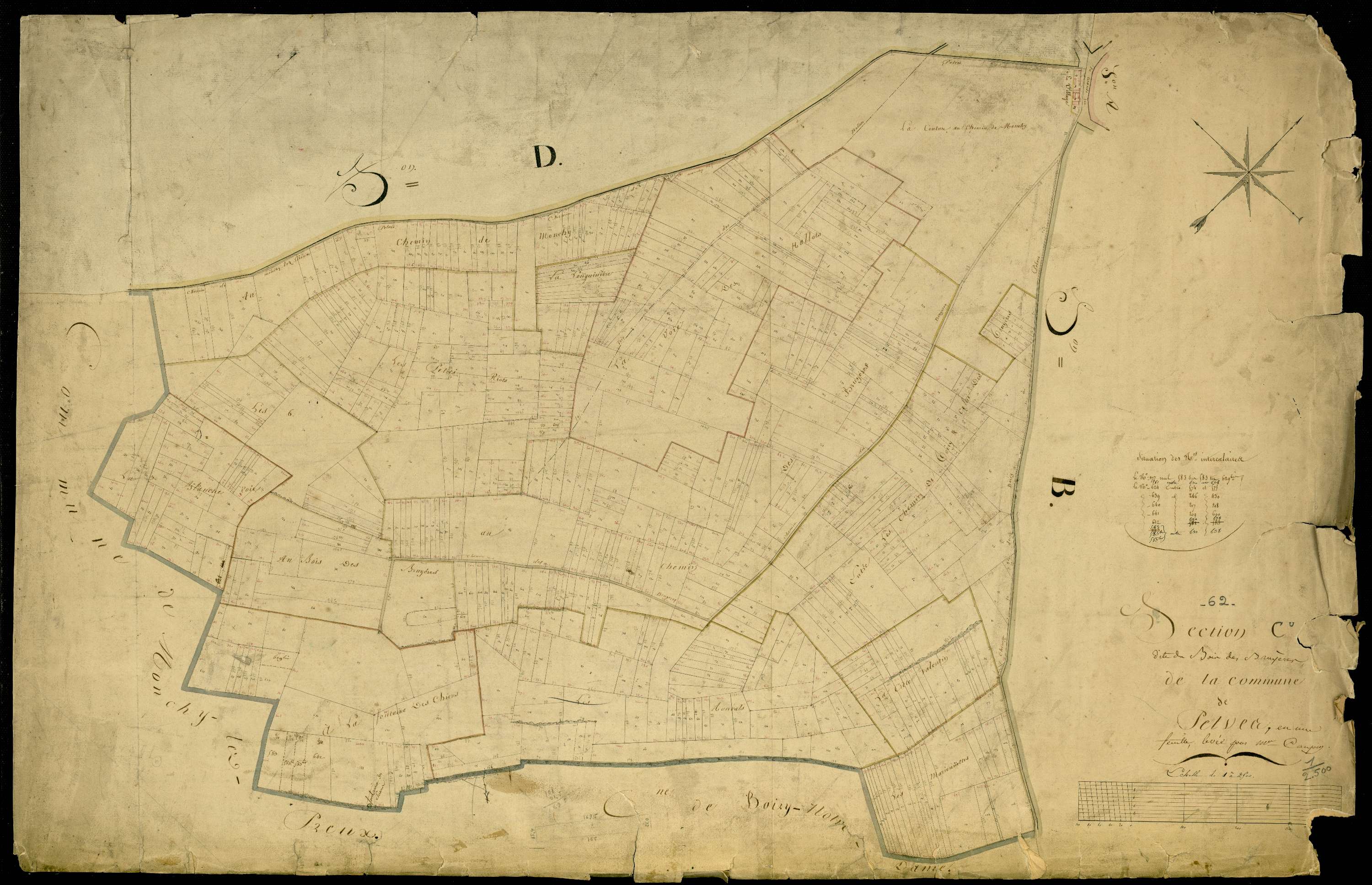 Pelves - Section C