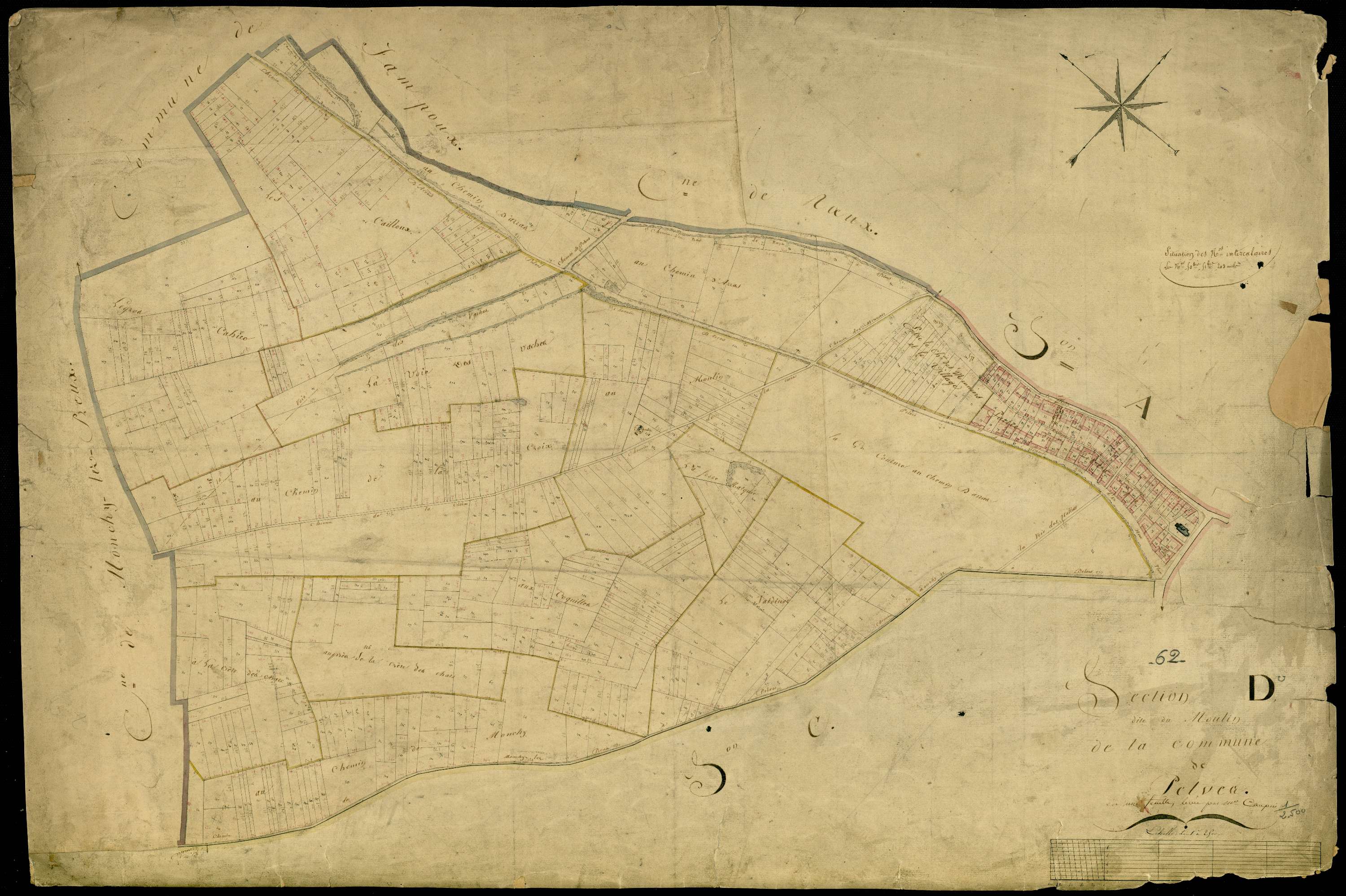 Pelves - Section D