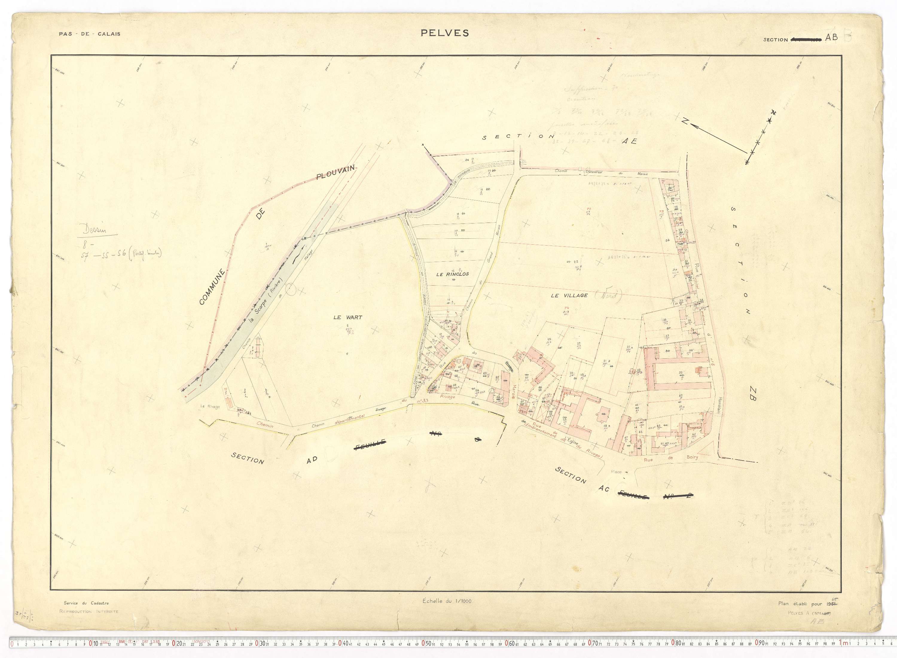 Pelves - Section AB.