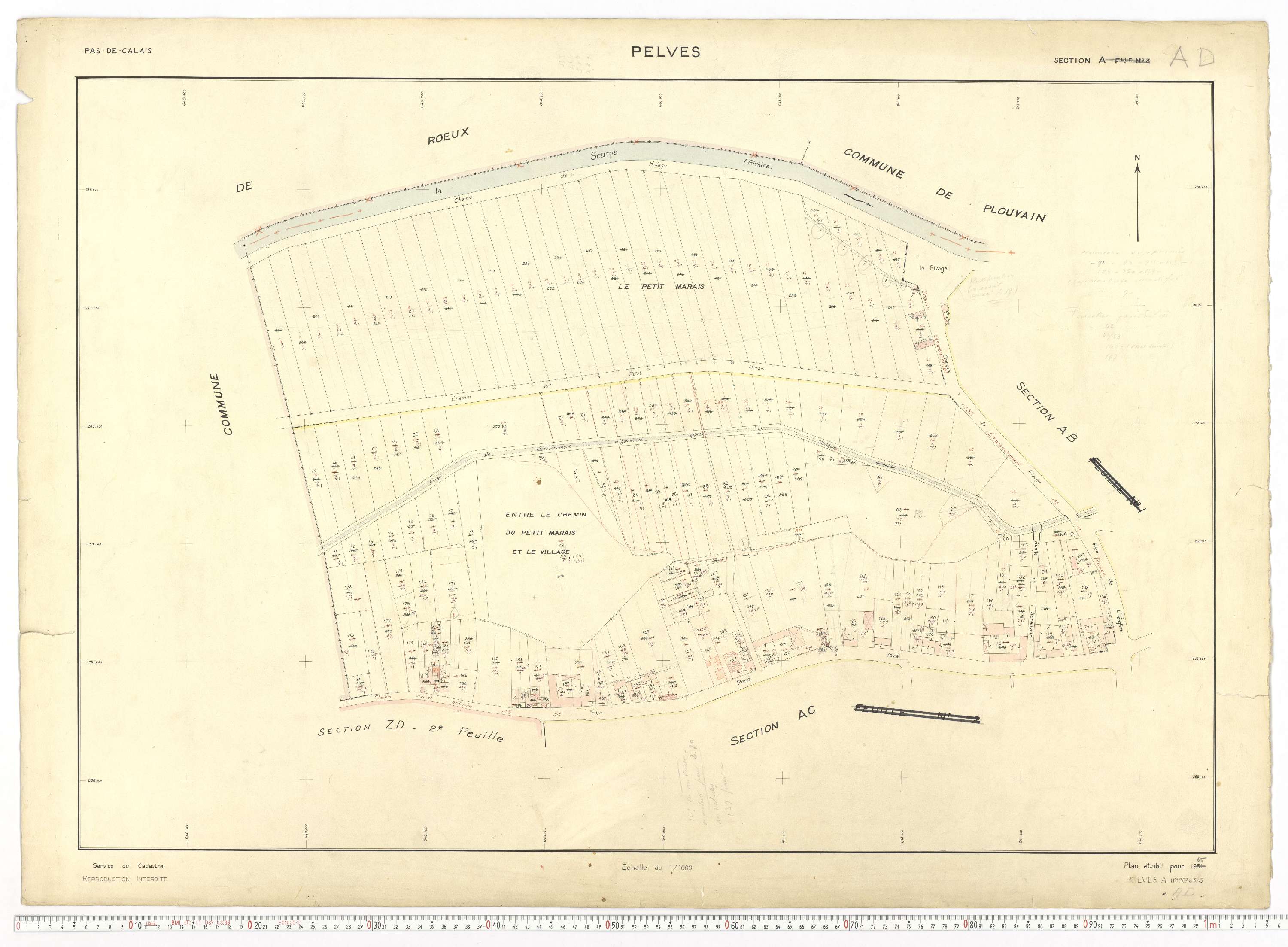 Pelves - Section AD.