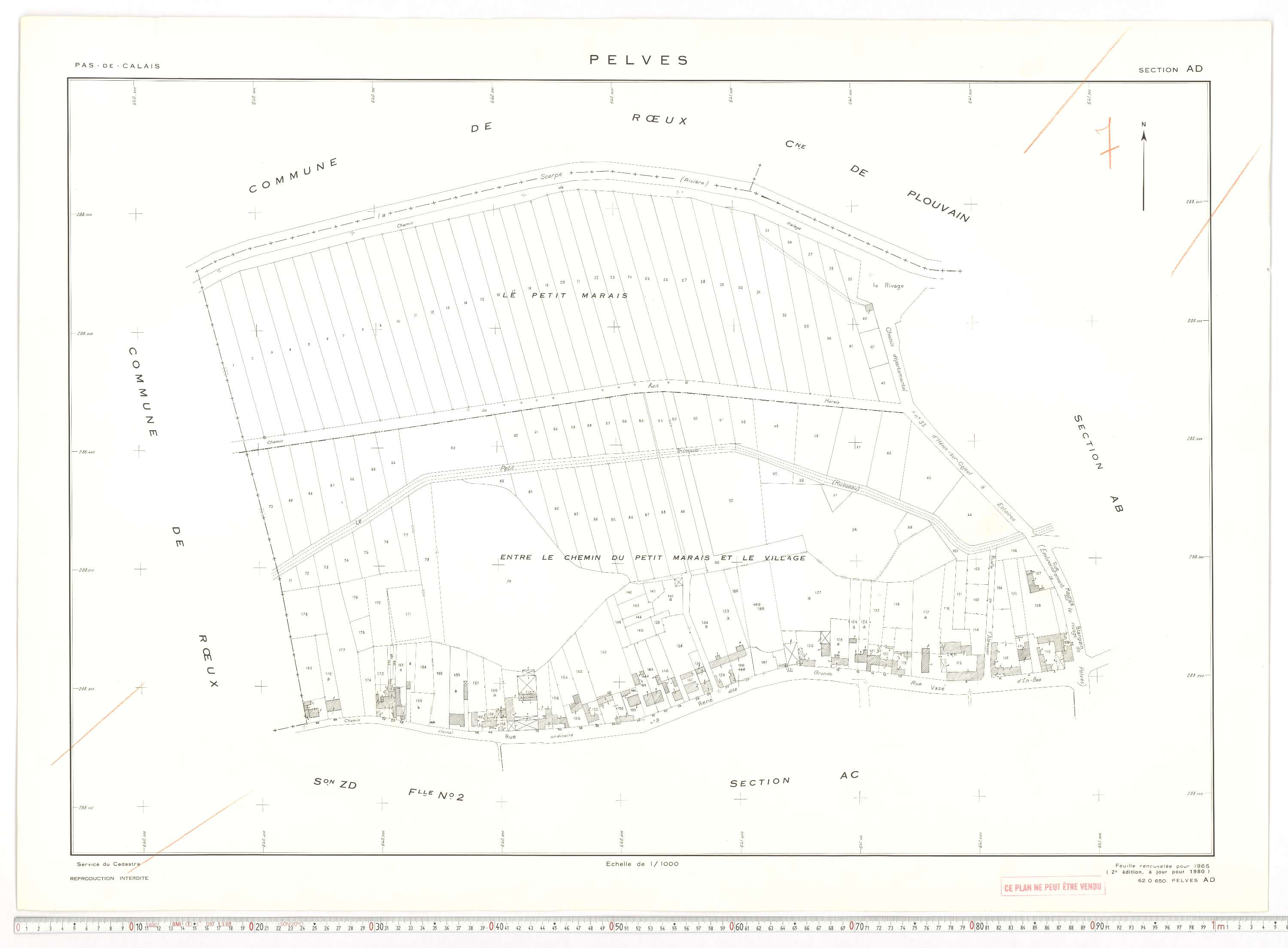 Pelves - Section AD.
