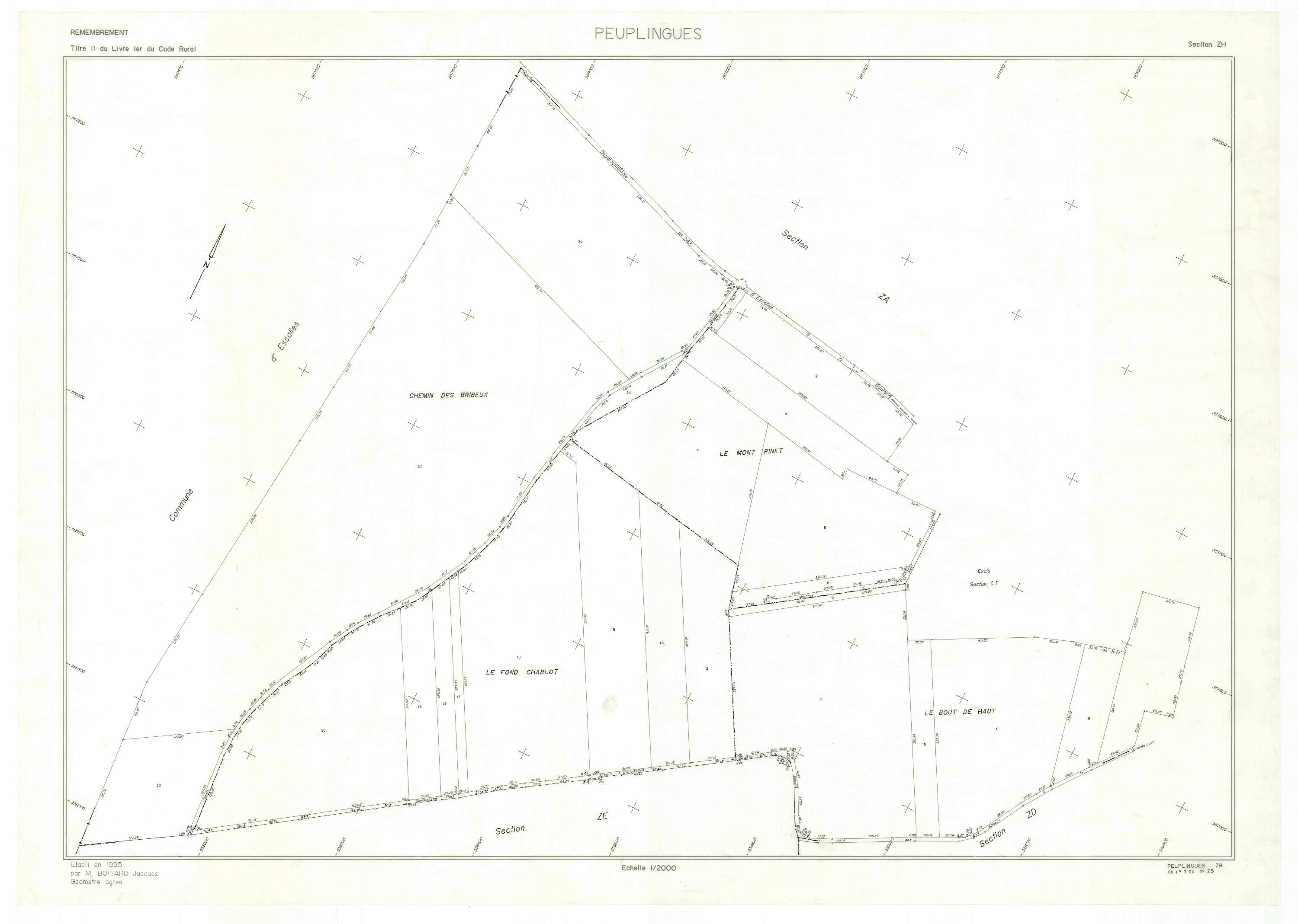 Peuplingues - Plan de remembrement : section ZH.