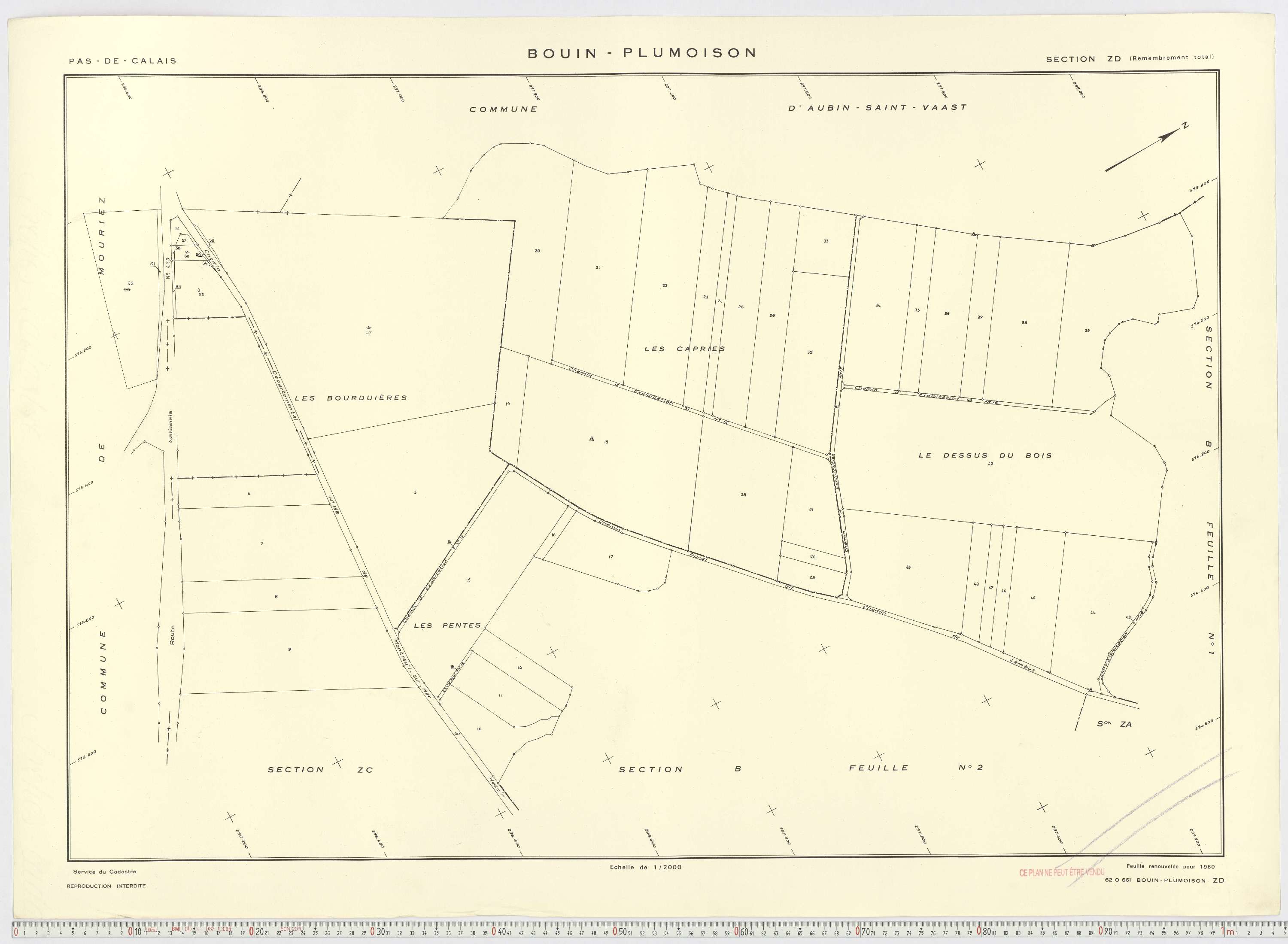 Bouin-Plumoison - Section ZD.