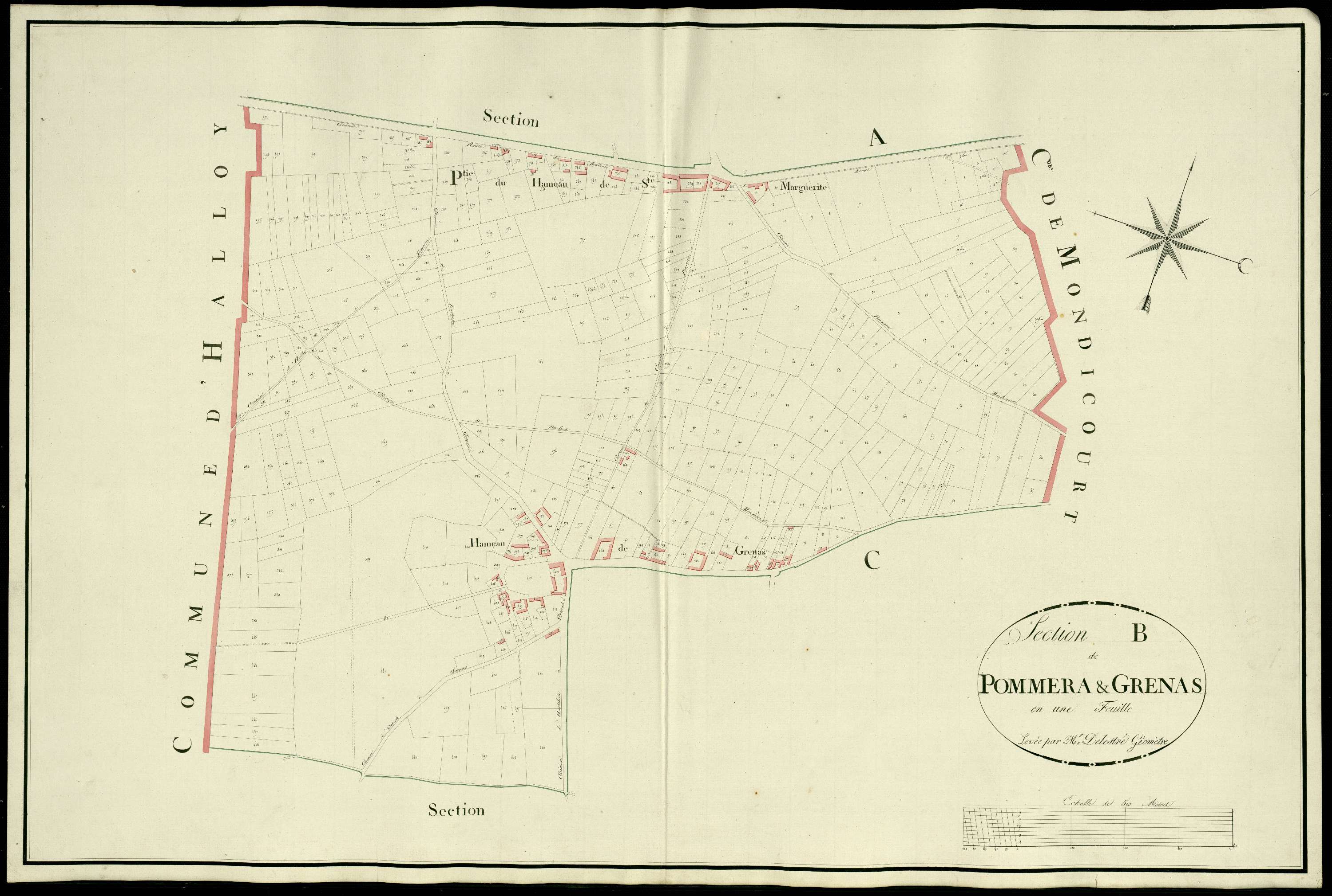 Pommera - Section B