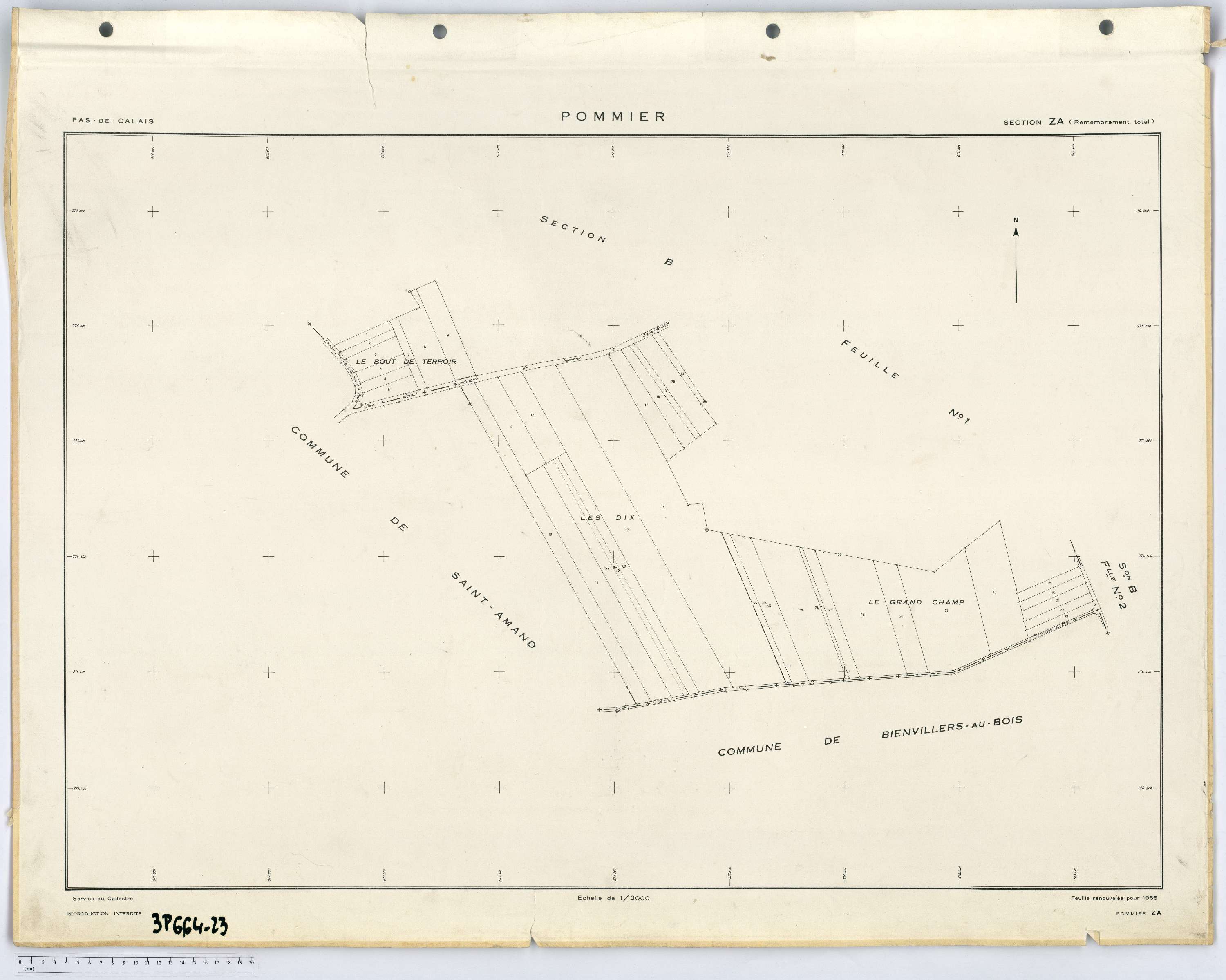 Pommier - Section ZA.