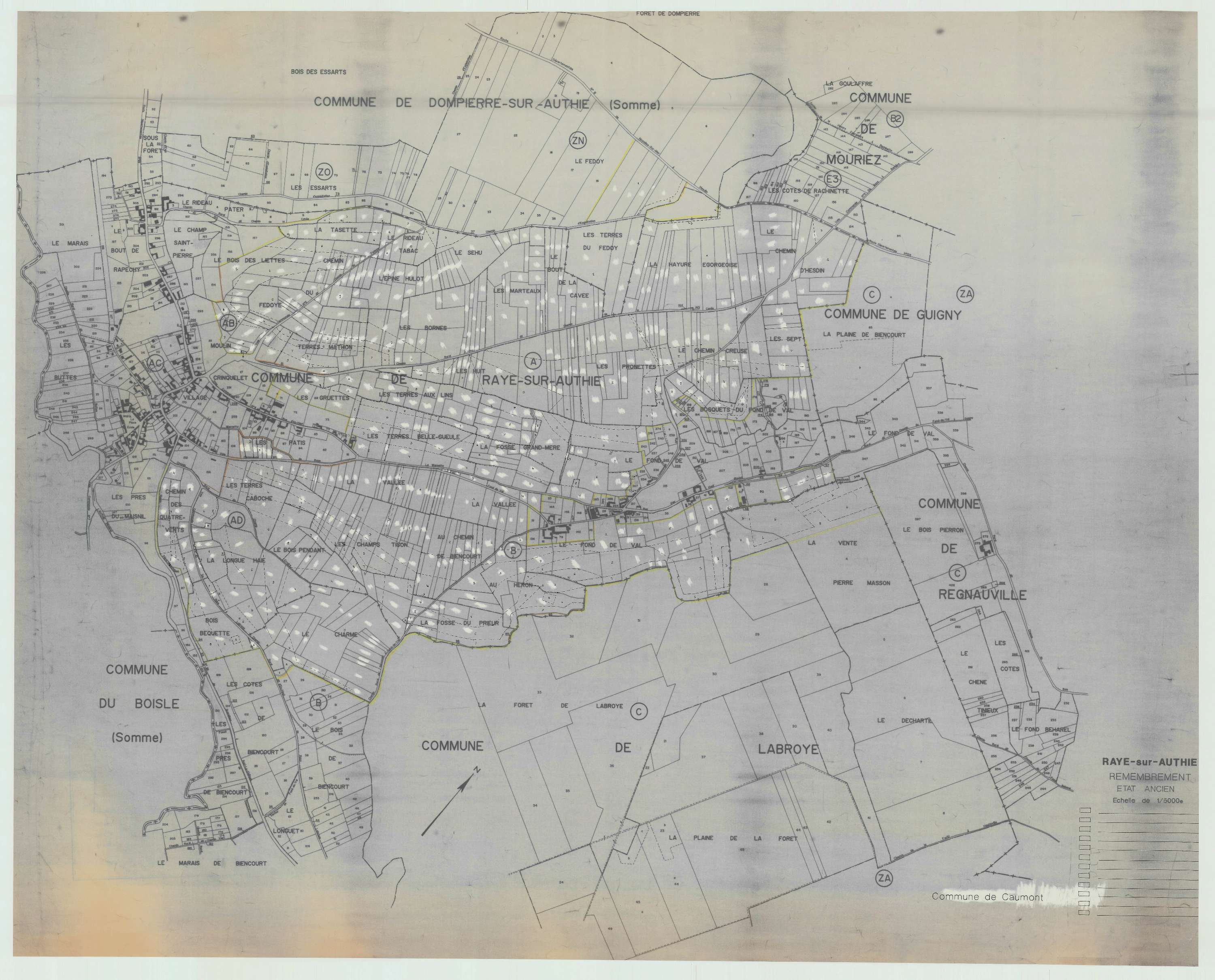Raye-sur-Authie - Plan cadastral : tableau d'assemblage antérieur au remembrement.