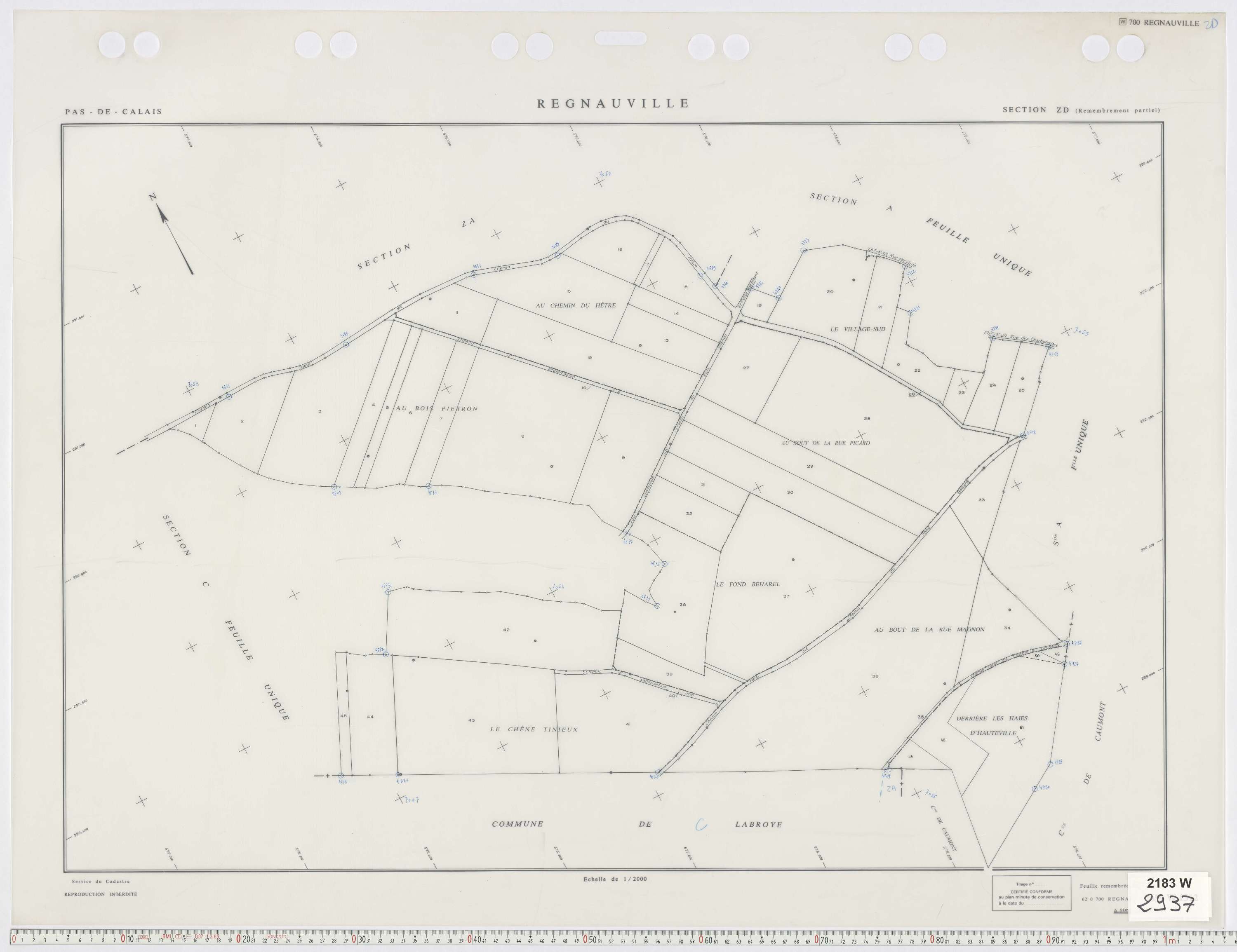 Regnauville - Section ZD.