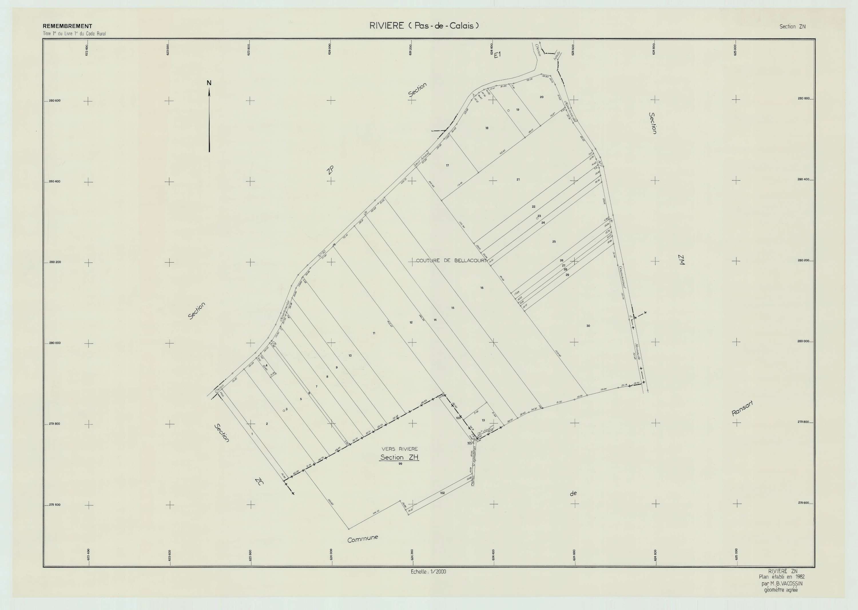 Rivière - Plan de remembrement : section ZN.