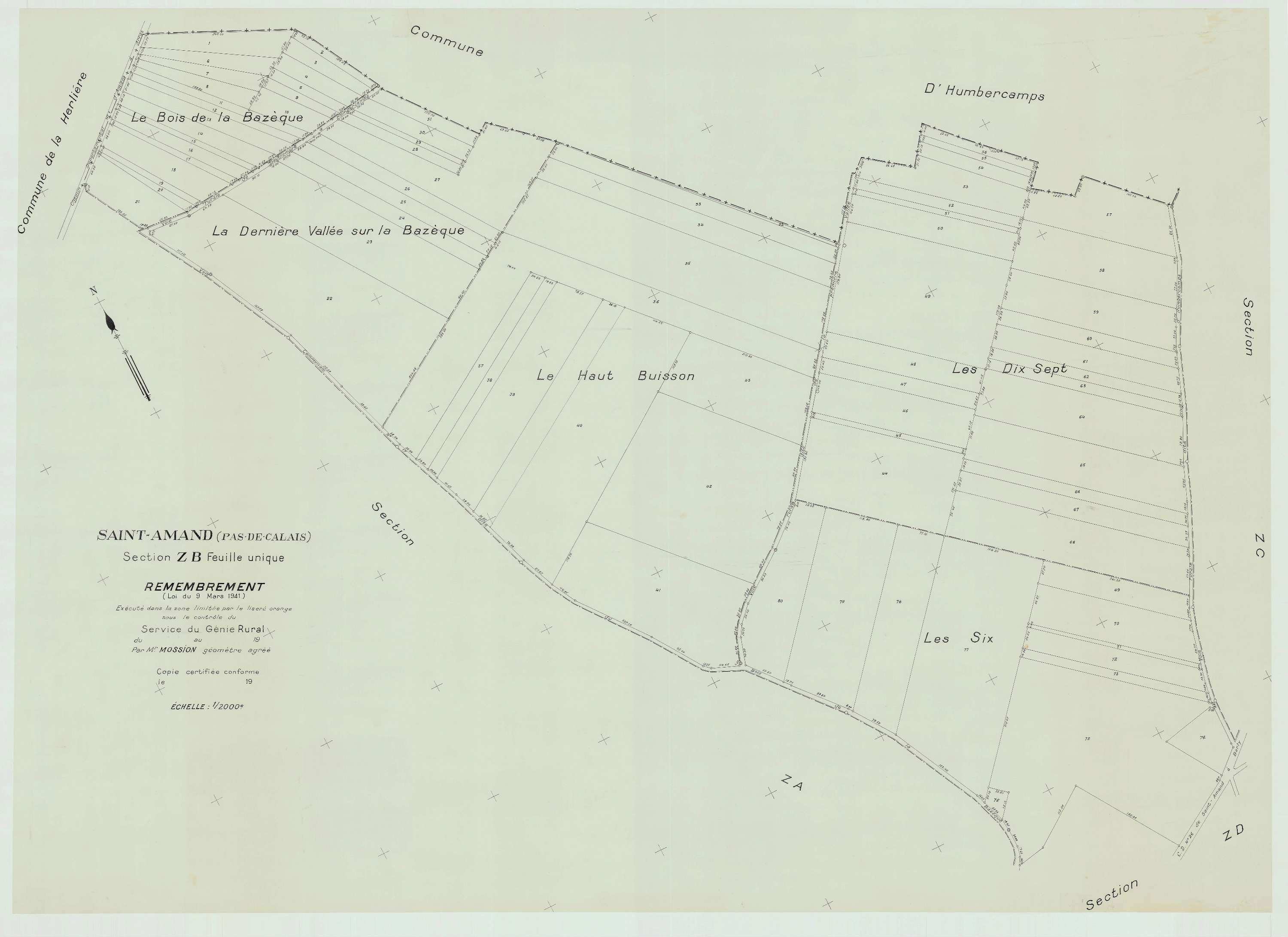 Saint-Amand - Plan de remembrement : section ZB.