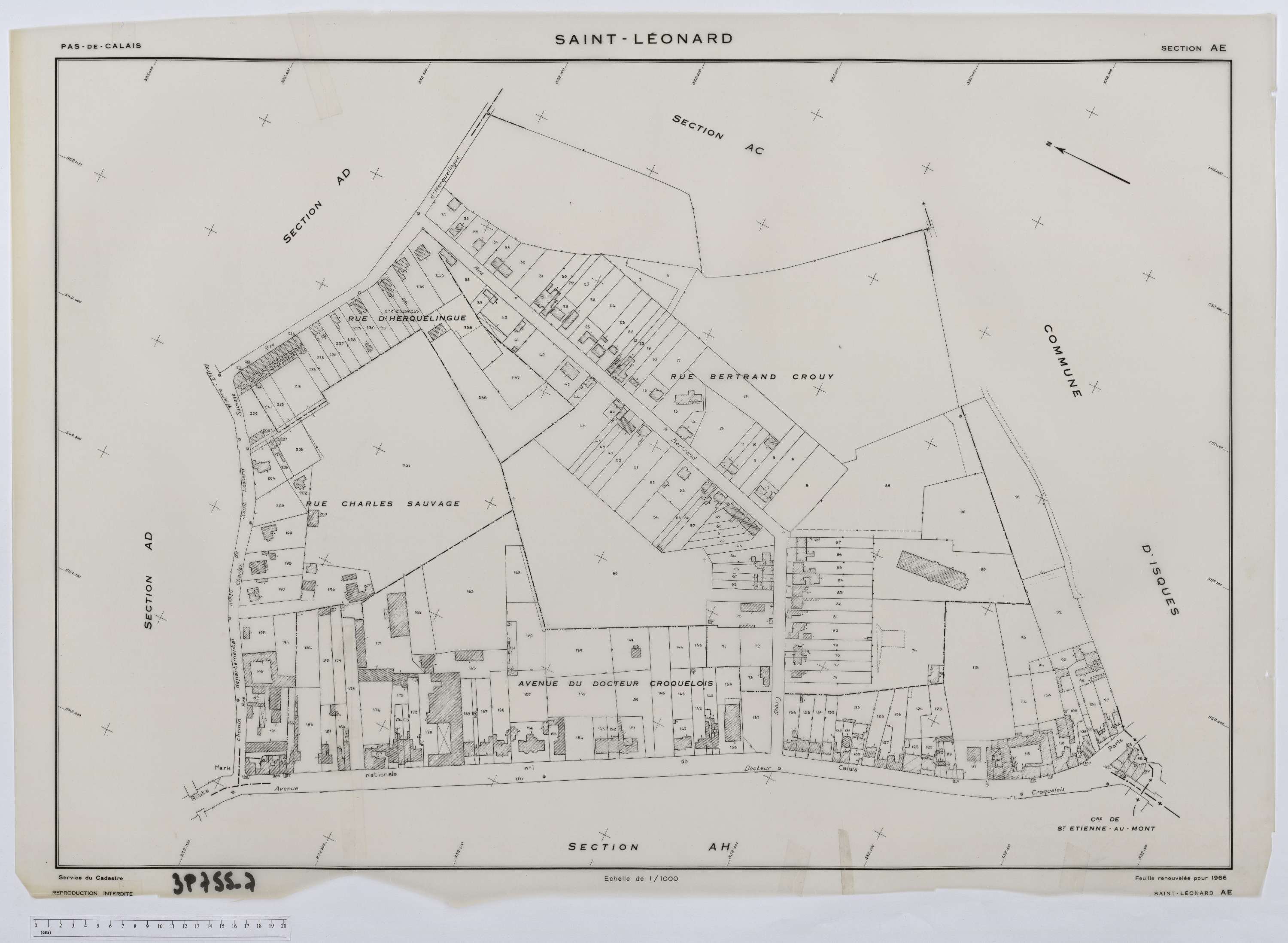 Saint-Léonard - Section AE.