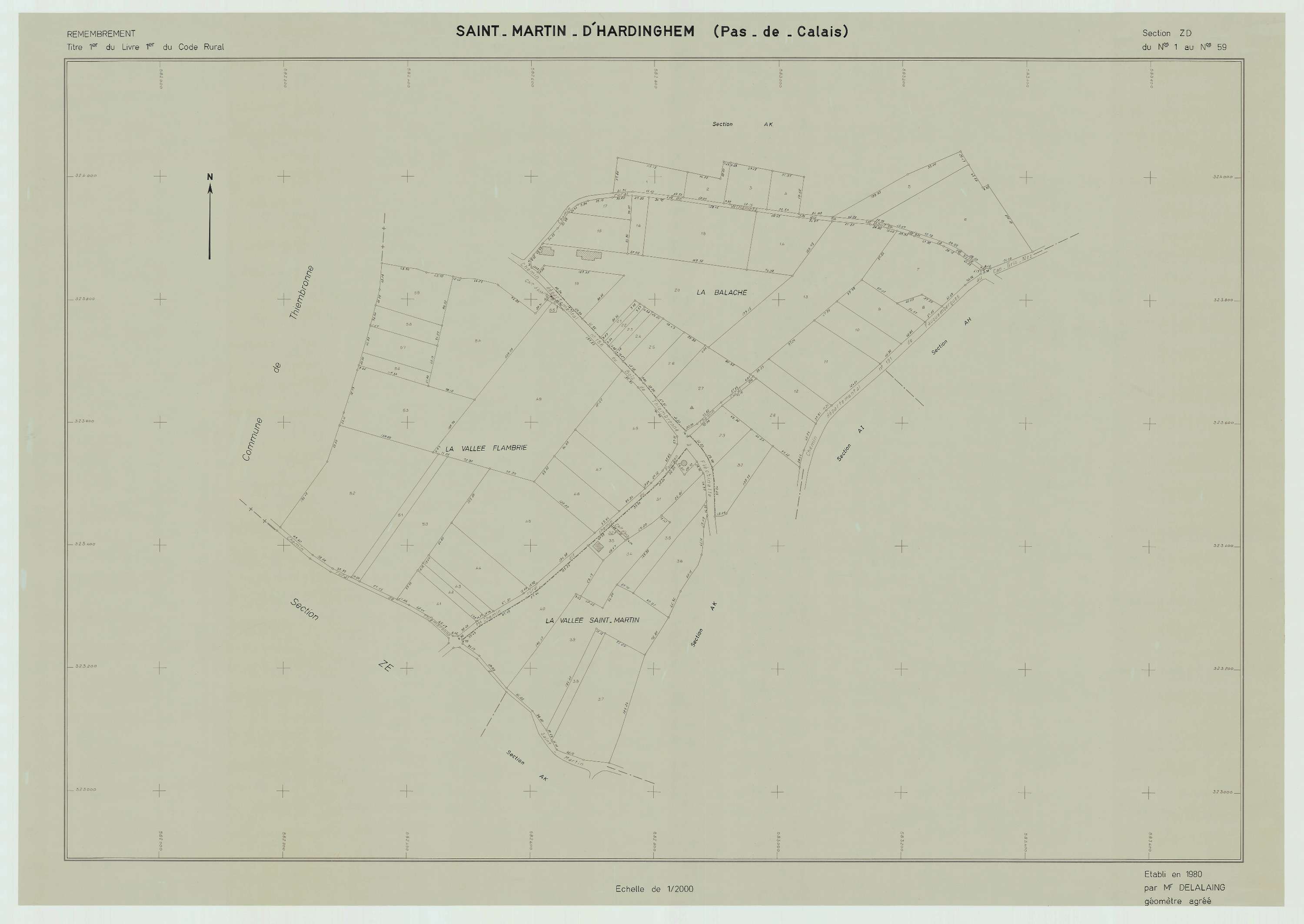 Saint-Martin-d'Hardinghem - Plan de remembrement : section ZD.