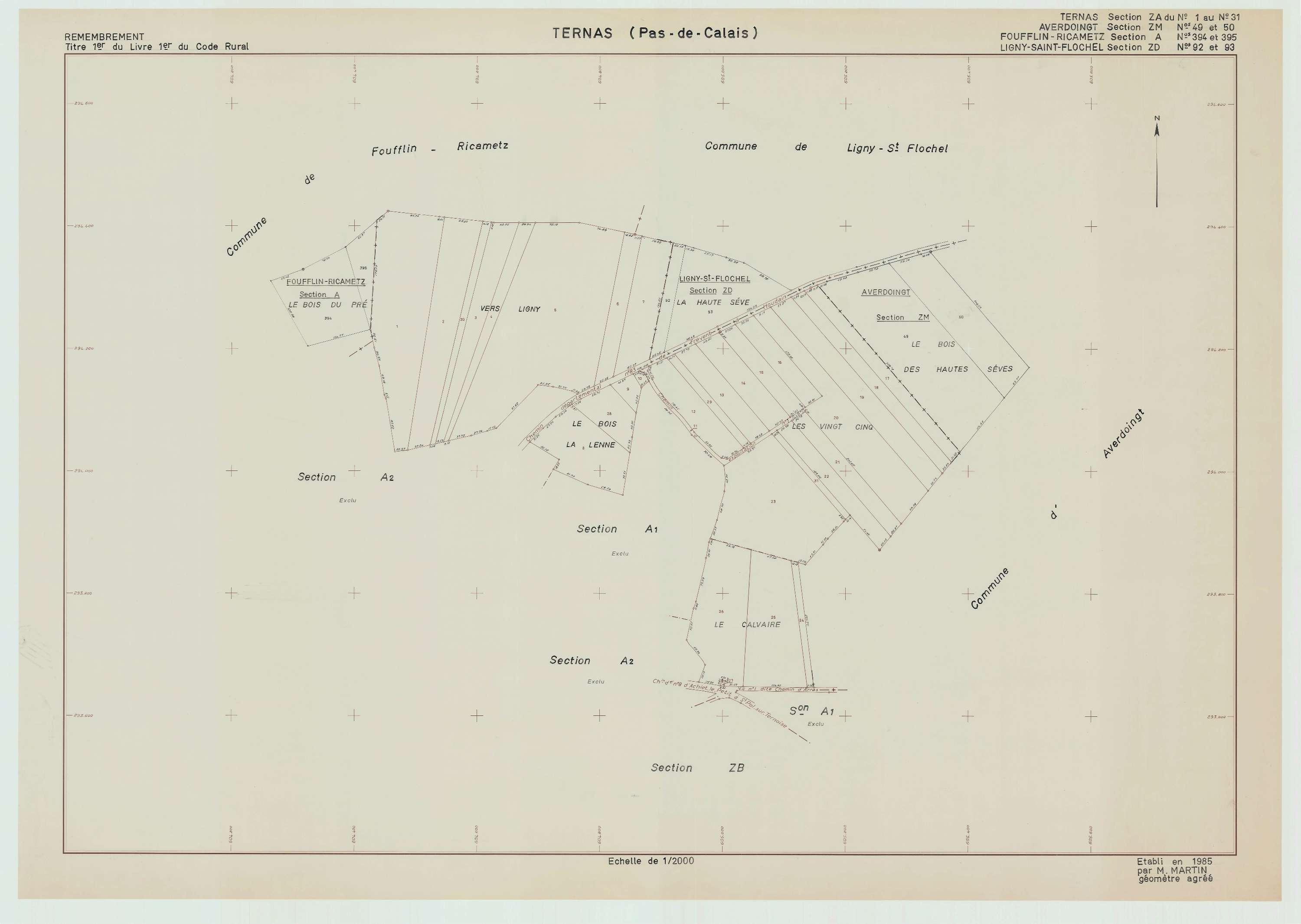 Ternas - Plan de remembrement : section ZA.