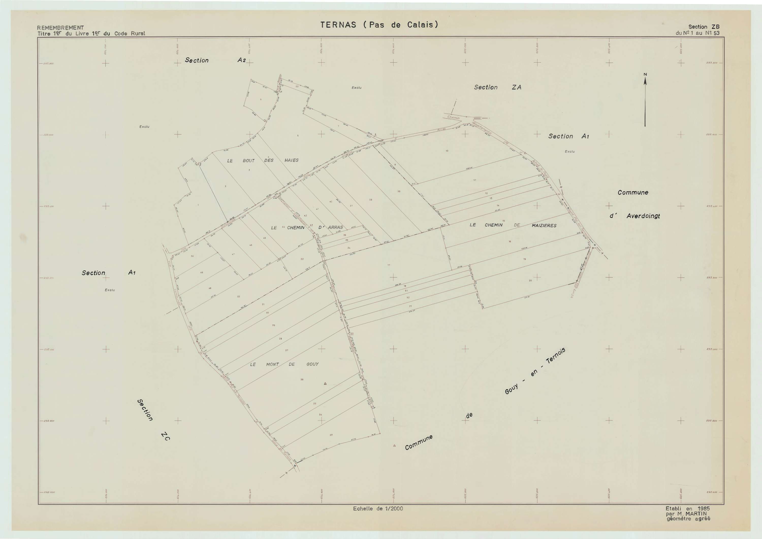 Ternas - Plan de remembrement : section ZB.