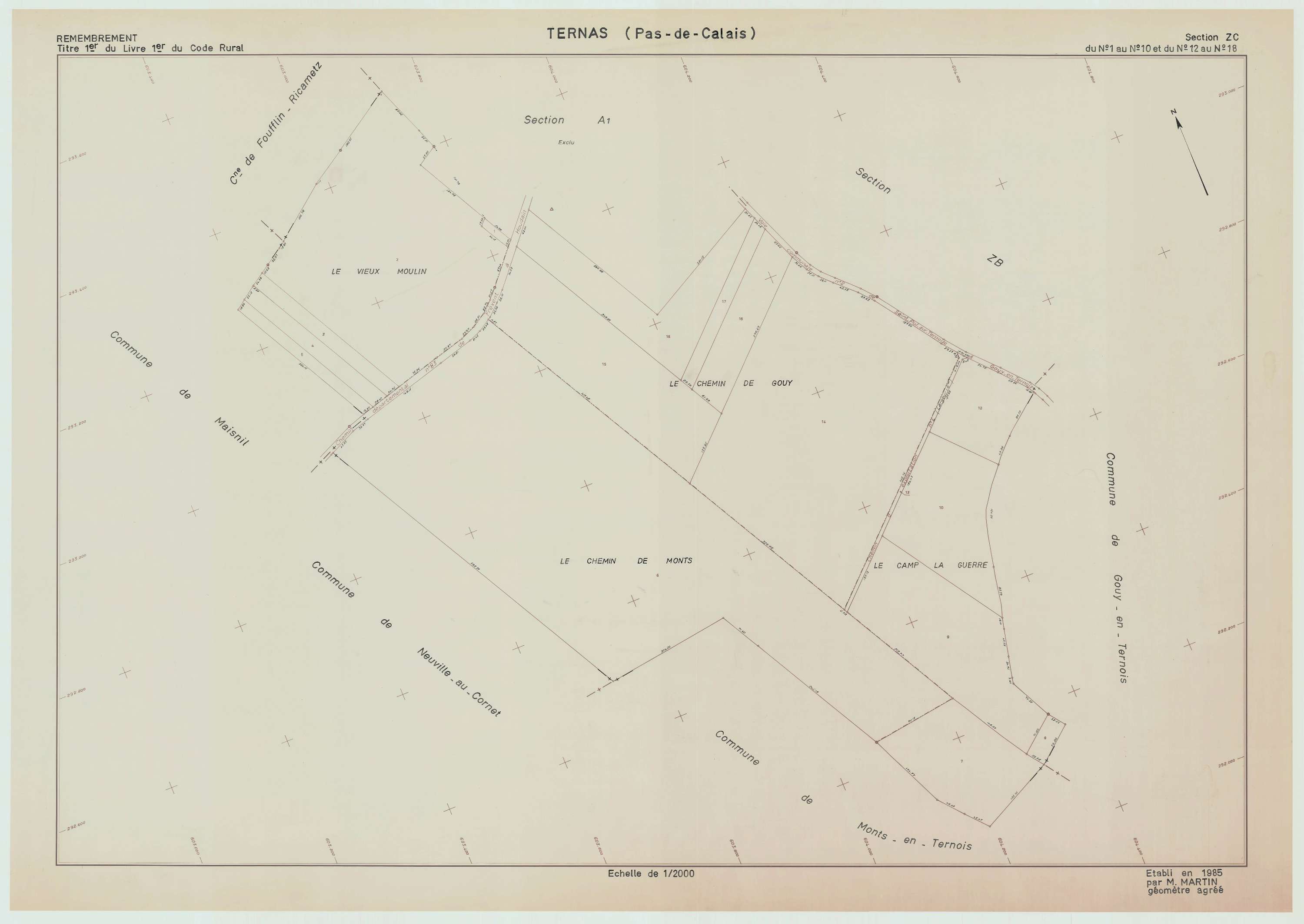 Ternas - Plan de remembrement : section ZC.