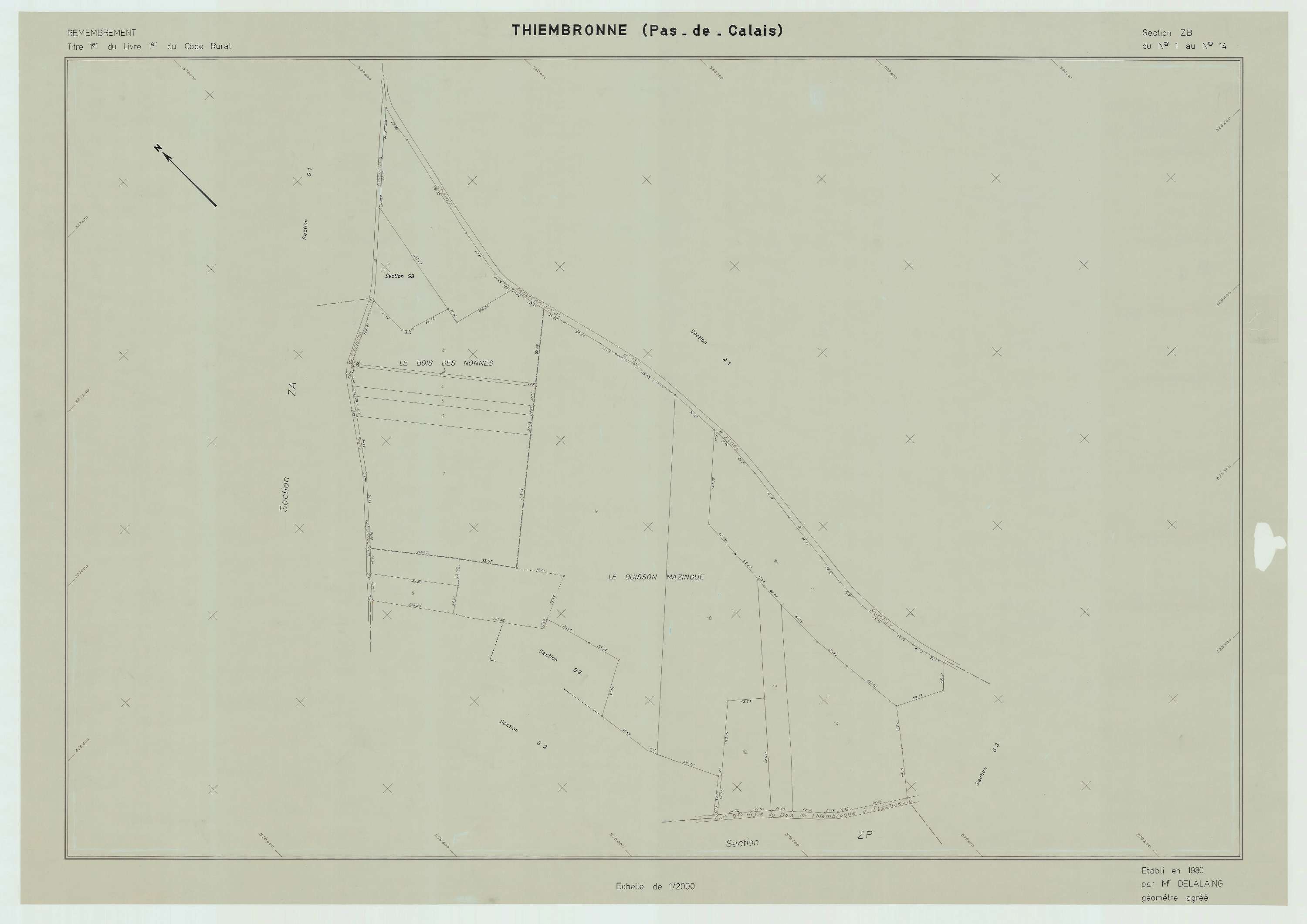 Thiembronne - Plan de remembrement : section ZB.