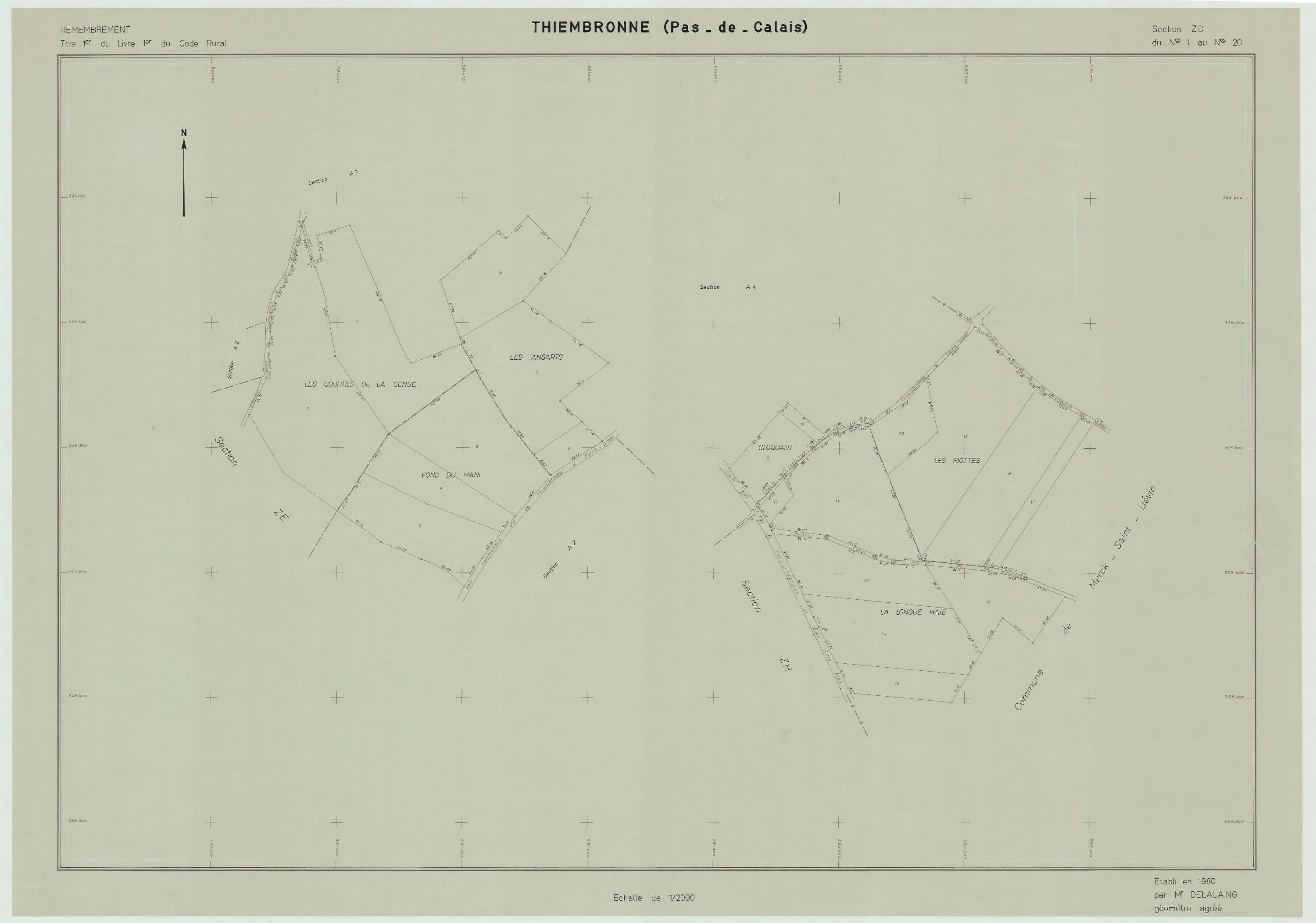 Thiembronne - Plan de remembrement : section ZD.