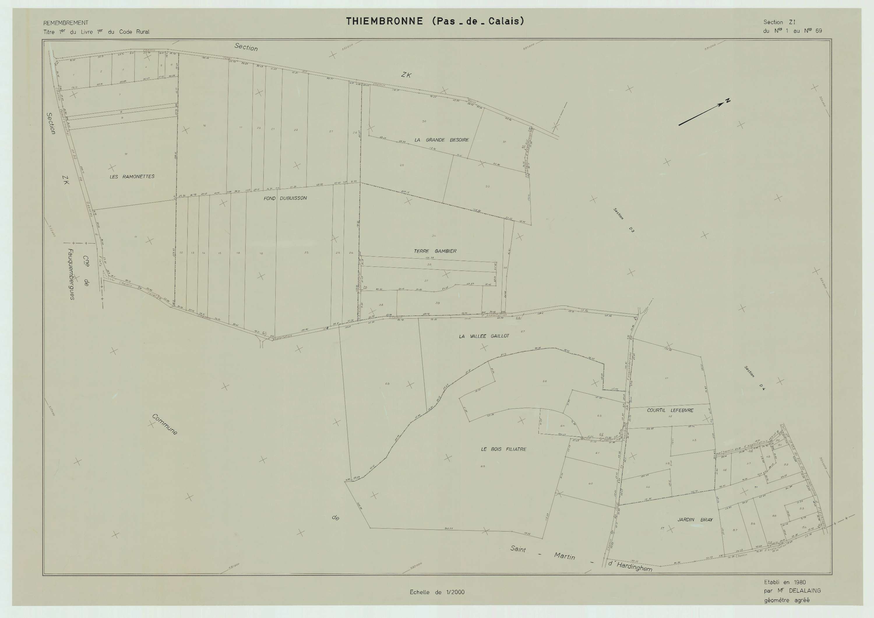 Thiembronne - Plan de remembrement : section ZI.