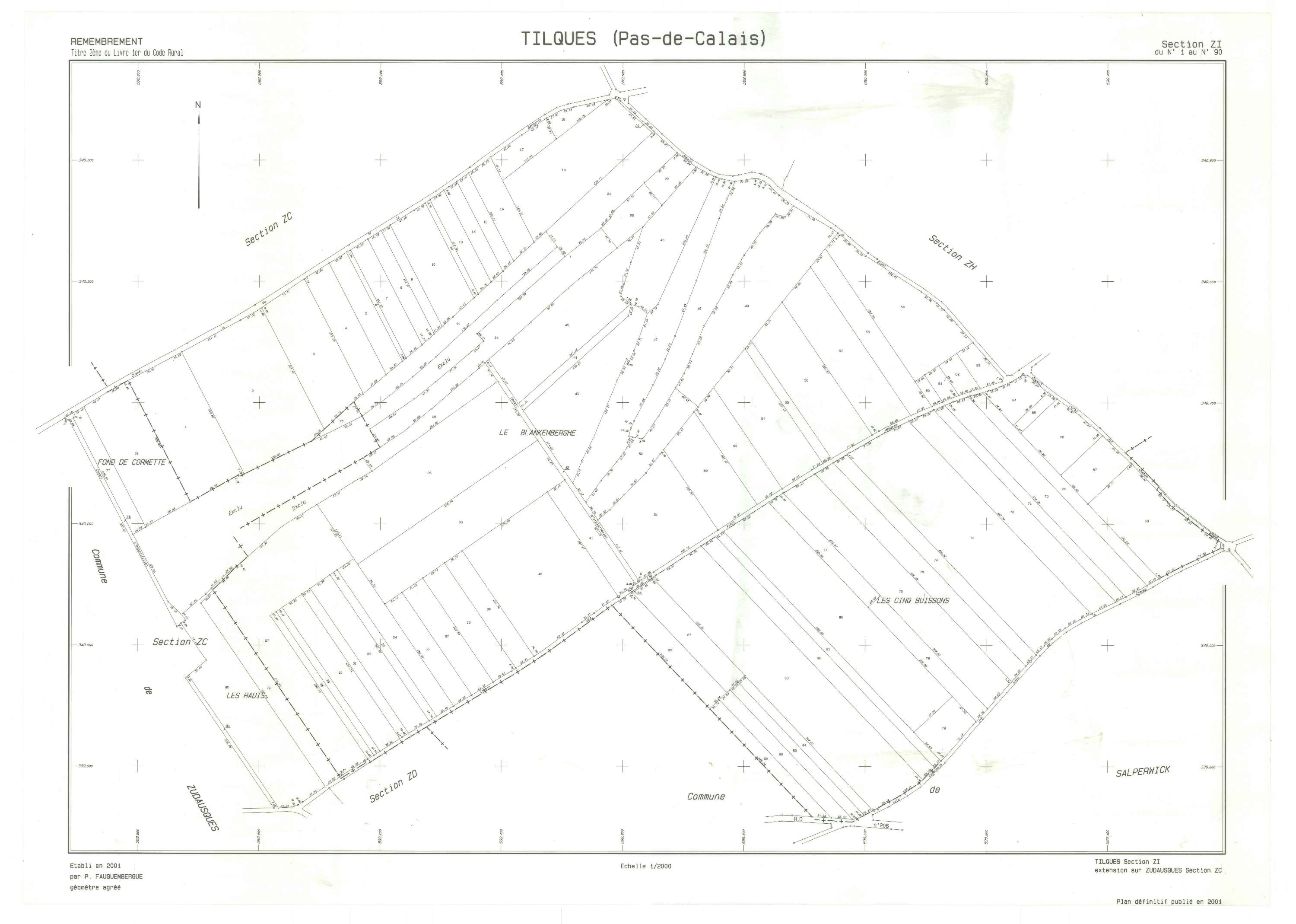 Tilques - Plan de remembrement : section ZI.