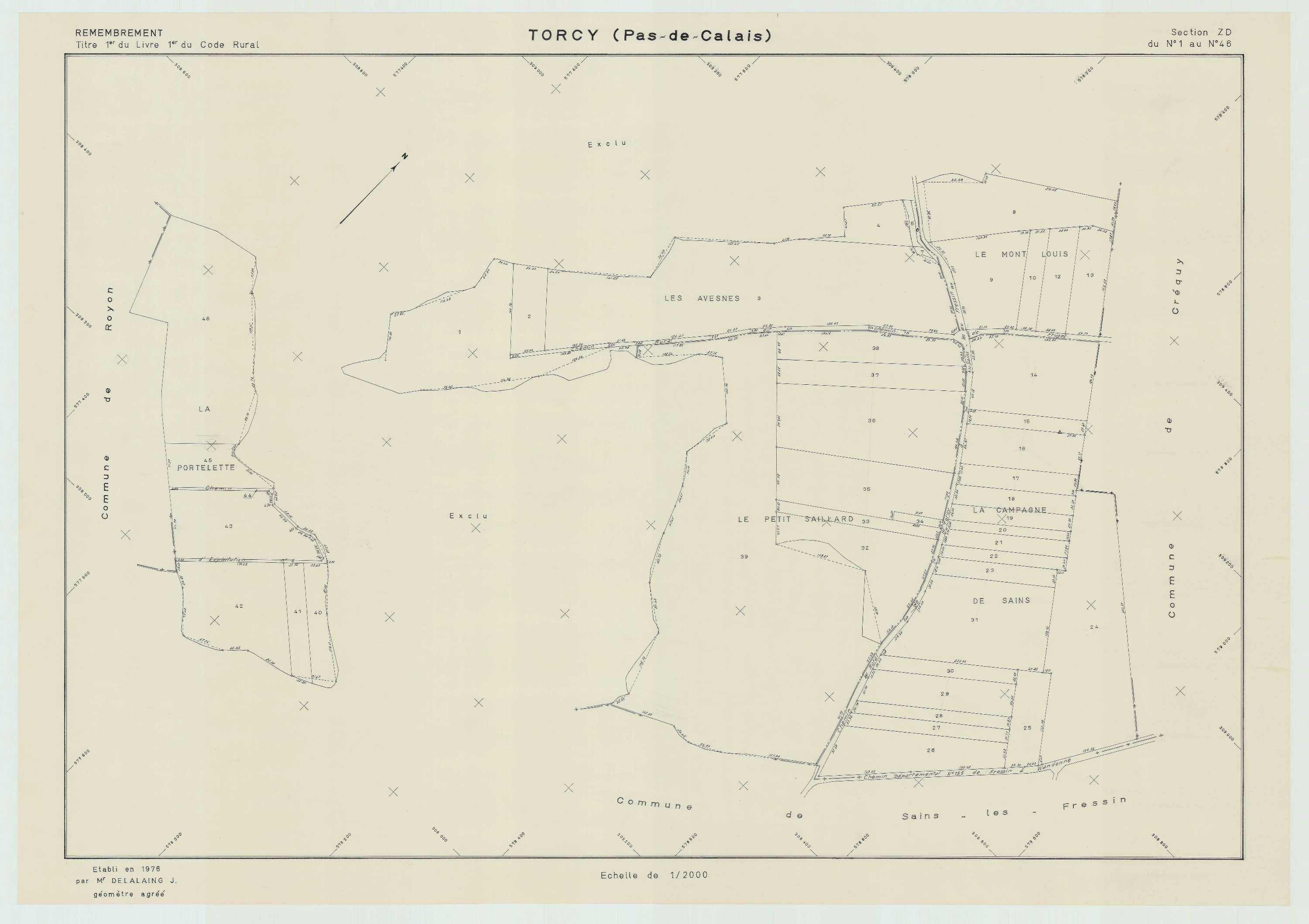 Torcy - Plan de remembrement : section ZD.