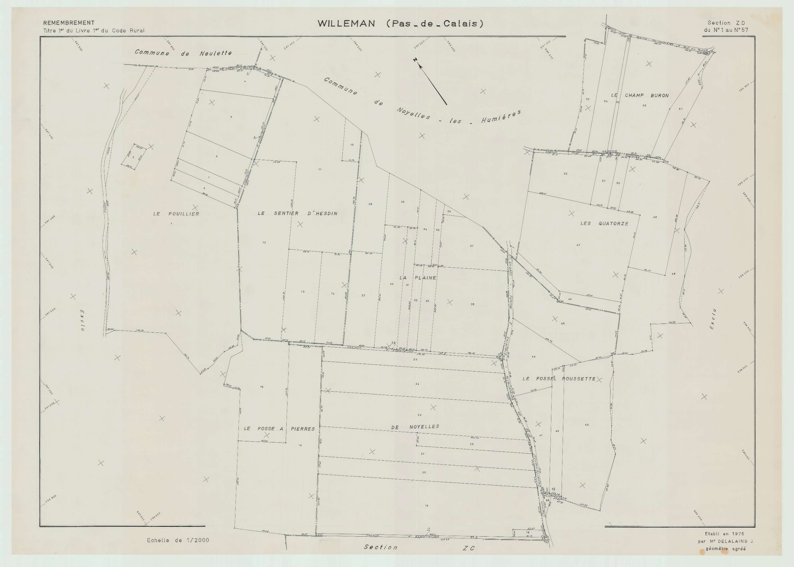 Willeman - Plan de remembrement : section ZD.