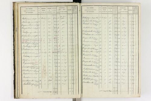 Antoingt - P 11211/2      Section B