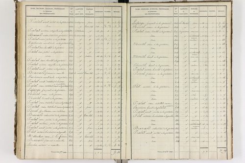 Auzelles - P 12368/5      Section E