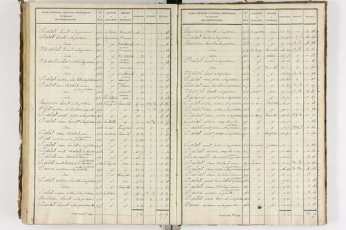 Auzelles - P 12368/5      Section E