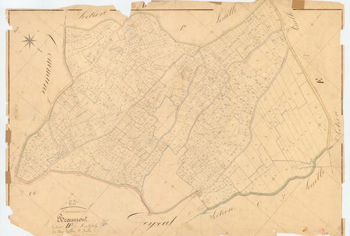 Beaumont - 51 FI 81      Section D de Montpoly, 2ème feuille