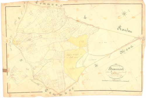 Beaumont - 53 FI 74      Section A des Bardins et Puy de Beaumont
