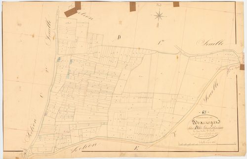 Beauregard-l'Évêque - 51 FI 96      Section D de Gitourt et les Prérairies, 2ème feuille