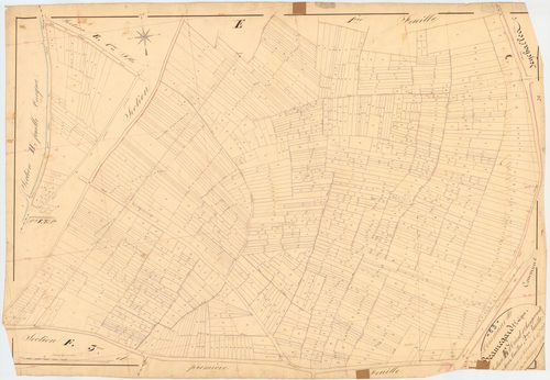 Beauregard-l'Évêque - 51 FI 98      Section E d'Orient et Champourt, 2ème feuille