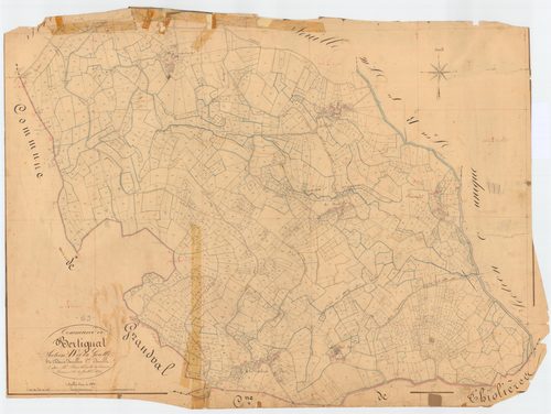 Bertignat - 55 FI 129      Section D de la Goutte, 1ère feuille
