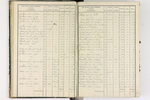 Bongheat - P 9044/1      Section A