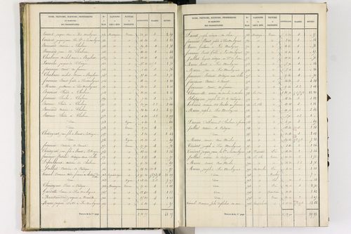Bongheat - P 9044/1      Section A
