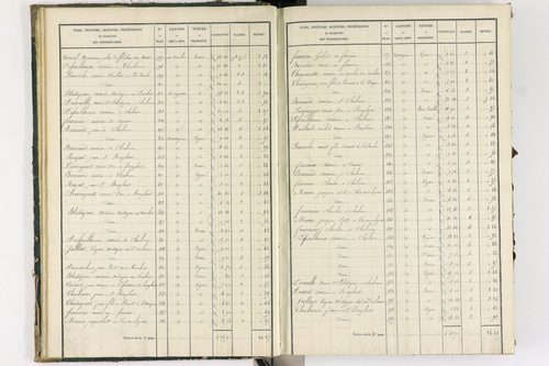 Bongheat - P 9044/1      Section A
