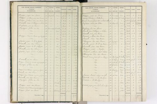 Bongheat - P 9044/1      Section A
