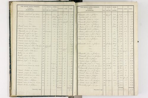 Bongheat - P 9044/1      Section A