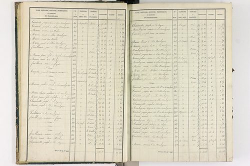 Bongheat - P 9044/1      Section A