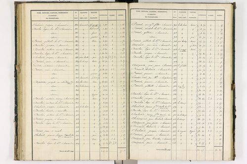 Bongheat - P 9044/2      Section B