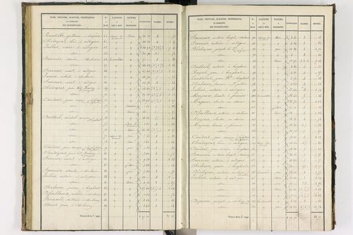 Bongheat - P 9044/2      Section B