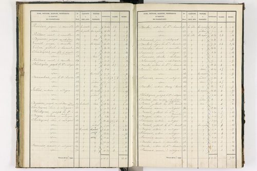 Bongheat - P 9044/2      Section B