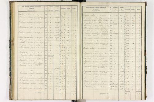Bongheat - P 9044/2      Section B