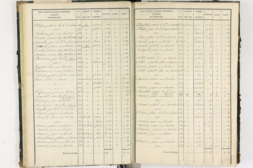 Bort-l'Étang - P 9050/1      Section A