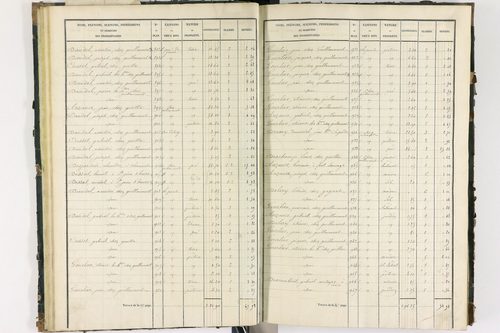 Bort-l'Étang - P 9050/1      Section A