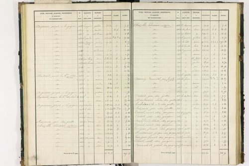 Bort-l'Étang - P 9050/1      Section A