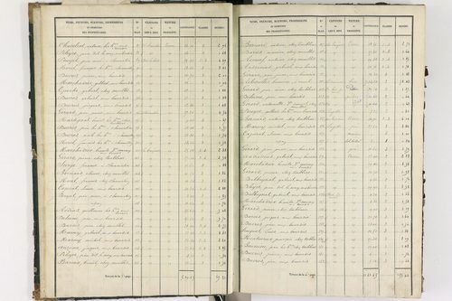 Bort-l'Étang - P 9050/1      Section A